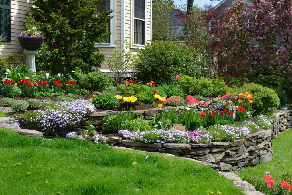 Residential Landscaping in Dubai with Modern Villa Garden Design