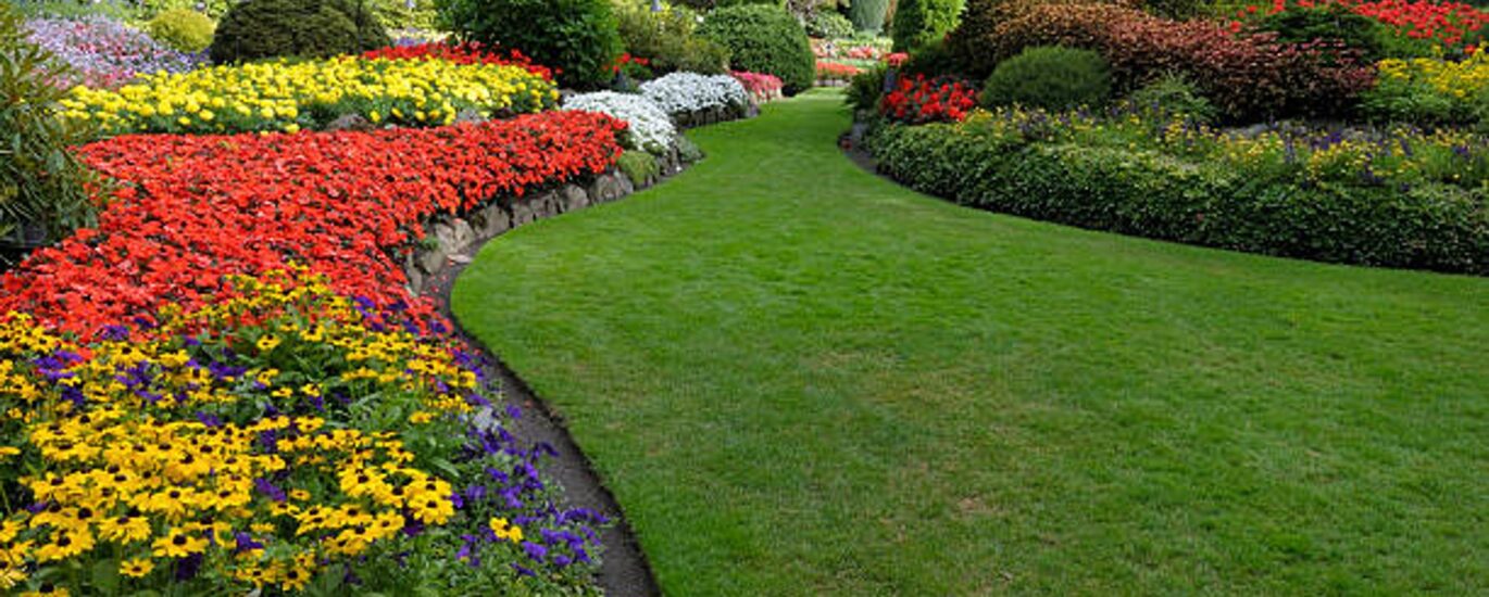Modern garden landscaping in Dubai with lush greenery, pathways, and outdoor seating.