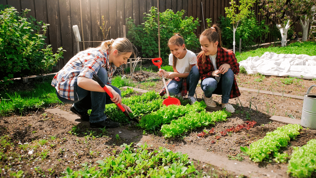 Landscaping Services in Dubai – Garden Design, Lawn Care & Outdoor Solutions