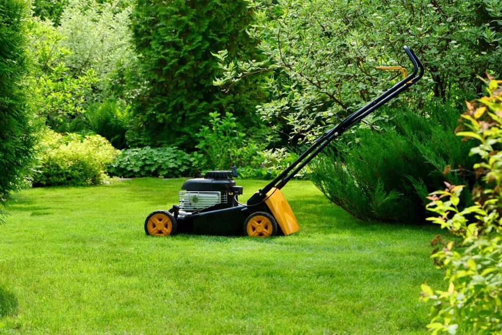 Garden maintenance services in Dubai with lawn mowing, pruning, and irrigation care