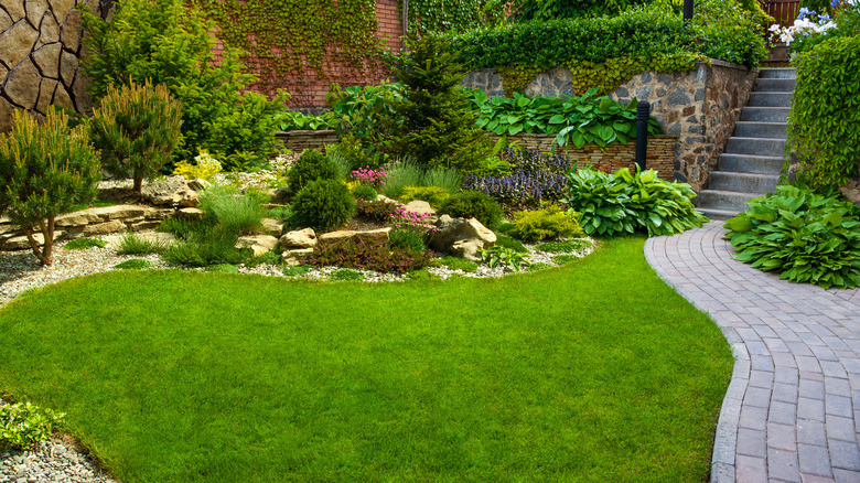 Beautiful villa garden in Dubai designed and maintained by NAT Landscapings.