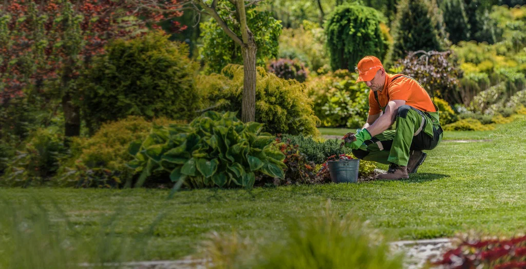 Garden Maintenance Services Dubai – Lawn Care, Pruning & Irrigation