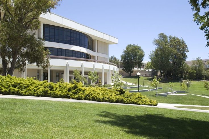 Top landscaping companies in Dubai providing complete outdoor design and maintenance