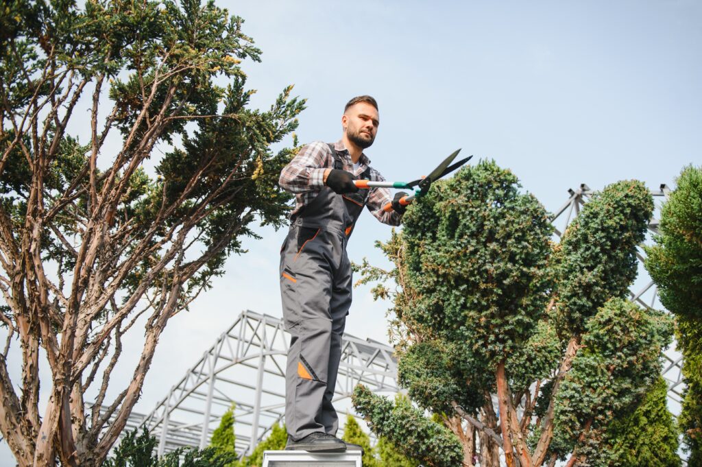 Landscape Contractors in Dubai