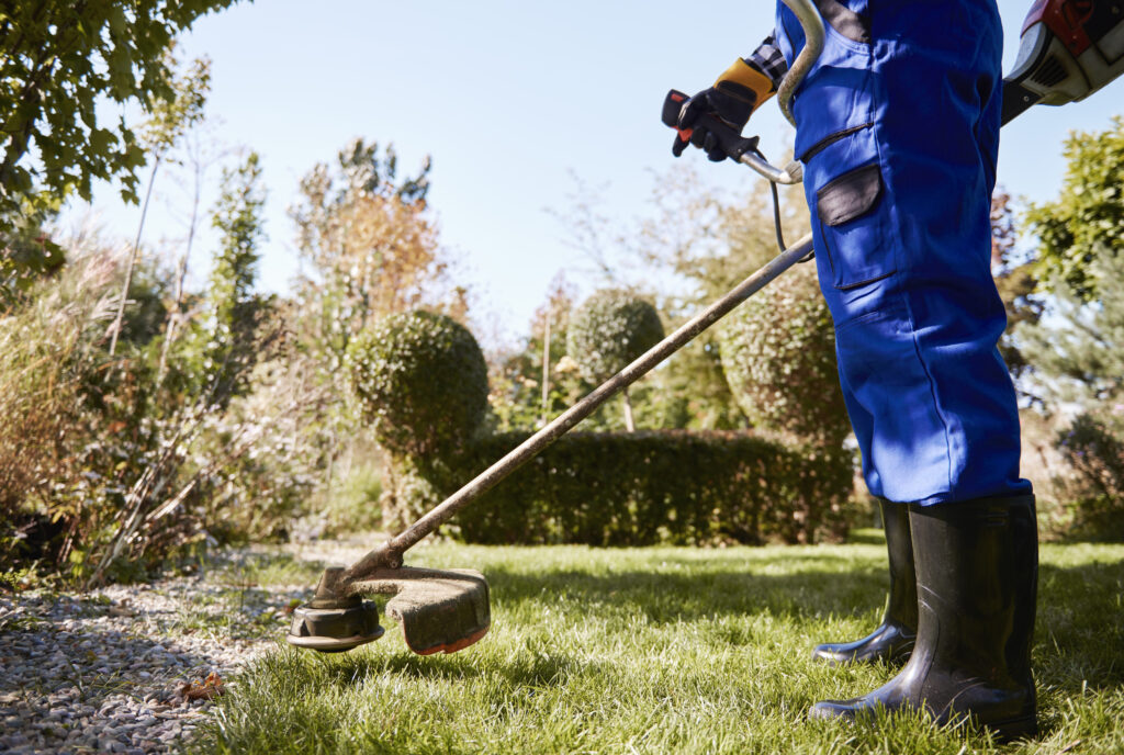 Landscape Maintenance Dubai