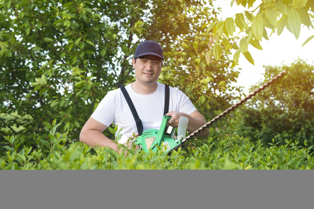 Landscape Contractors in Dubai
