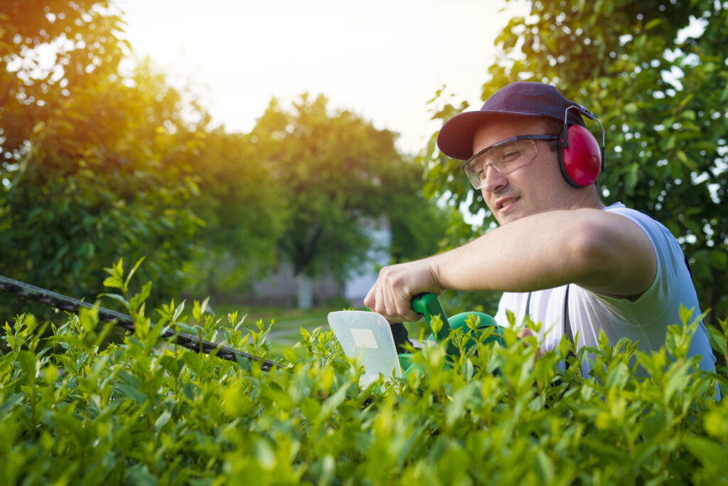 Landscape Contractors in Dubai