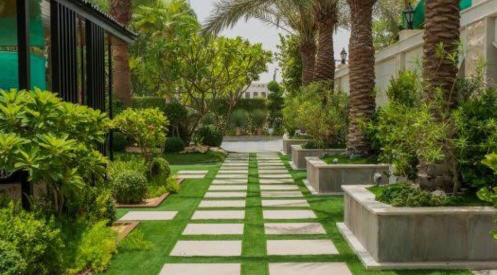 Professional Outdoor Garden Design Services in Dubai