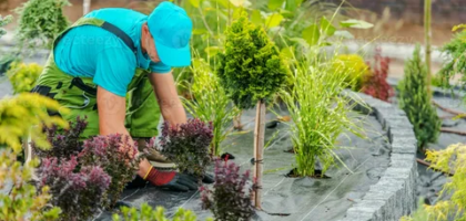 Modern Landscaping for Dubai Villas