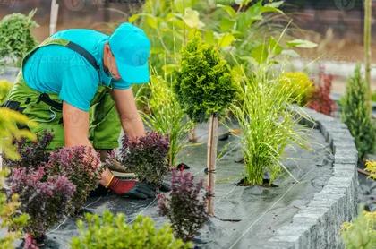 Modern Landscaping for Dubai Villas