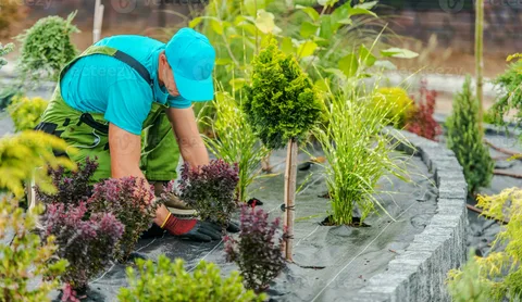 Modern Landscaping for Dubai Villas