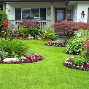 Eco-friendly gardening services in Dubai with smart irrigation