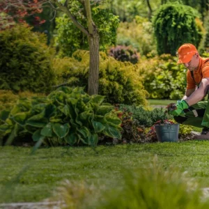 Garden maintenance services in Dubai with lawn mowing, pruning, and irrigation care