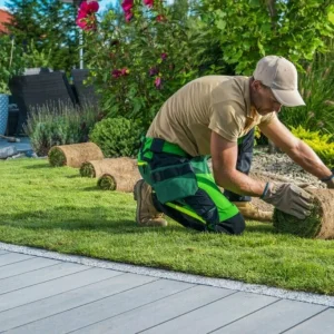 Garden Landscaping Dubai – Professional Outdoor Design & Maintenance